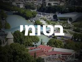 טיסה ישירה