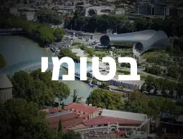טיסה ישירה