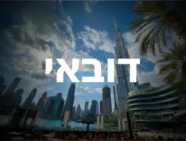 טיסה ישירה