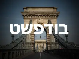 טיסה ישירה