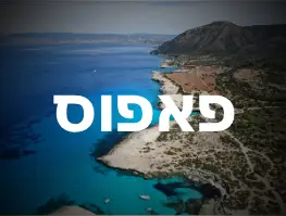 טיסה ישירה