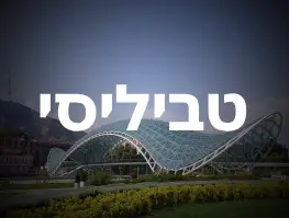 טיסה ישירה