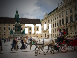 טיסה ישירה טיסה ישירה